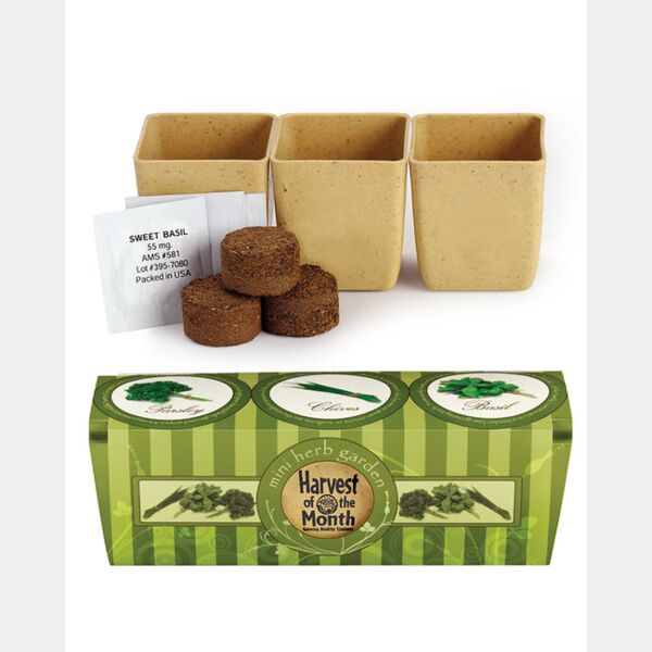 Growpot Eco-Planter Herb 3-Pack Thumbnail