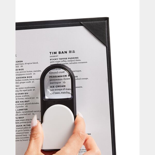 Magnifier With Light Thumbnail